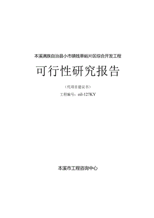 某县某某片区综合开发工程可行性研究报告.docx