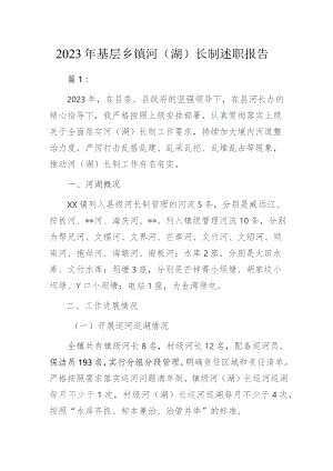 2023年基层乡镇河（湖）长制述职报告3篇.docx