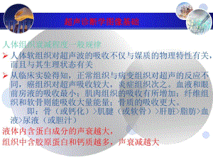 肝脏疾病超声诊断.ppt