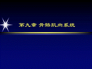 骨骼肌肉系统医学影像诊断学.ppt.ppt