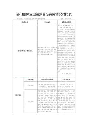 部门整体支出绩效目标完成情况对比表.docx