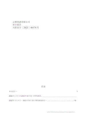 云南铜业：云铜香港有限公司审计报告.docx