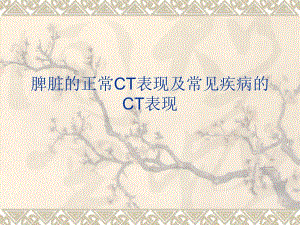 脾脏的正常与异常CT表现.ppt.ppt