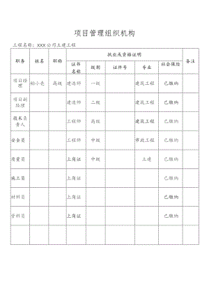项目管理组织机构.docx