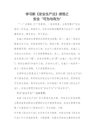 安全“可为与有为”.docx