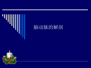 脑动脉的解剖[新版].ppt