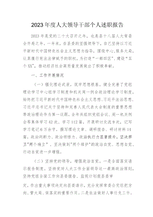 2023年度人大干部个人述职报告.docx