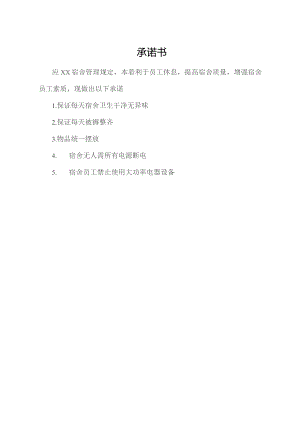 承诺书（标准模版）.docx