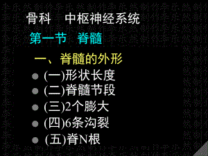 脊髓解剖彩色图谱.ppt