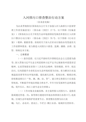 入河排污口排查整治行动方案.docx