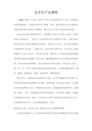安全生产法感悟.docx