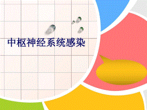 中枢神经系感染PPT幻灯片.ppt