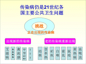 【精品PPT】传染病仍是21世纪各国主要公共卫生问题.ppt