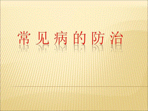 常见疾病防治.ppt