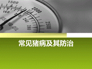 常见猪病及其防治.ppt