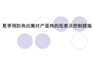 夏季预防热应激对产蛋鸡的危害及控制措施.ppt