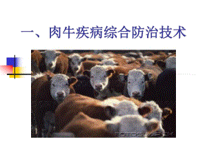 [优质文档]肉牛疾病综合防治技巧.ppt
