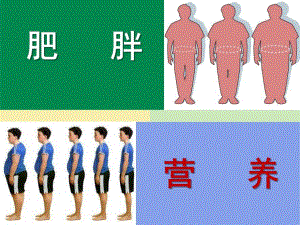 [基础医学]营养与肥胖.ppt