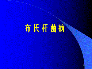 布氏杆菌病讲座.ppt.ppt