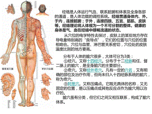 SPA机与经络养生.ppt