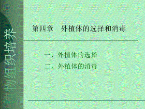 第四章外植体的选择和消毒.ppt