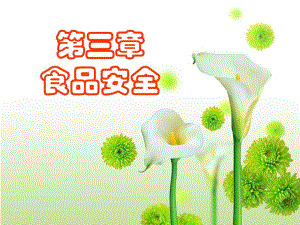 预防医学食品安全.ppt
