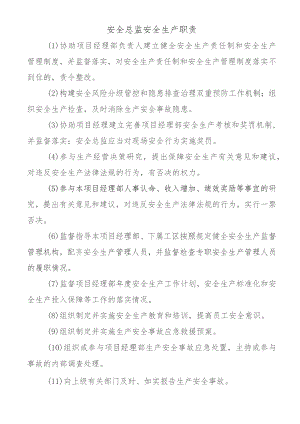 安全总监安全生产职责.docx
