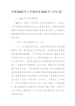 乡镇2022年工作情况及2023年工作计划.docx