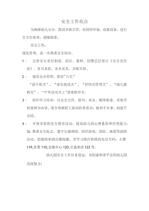 安全工作亮点.docx