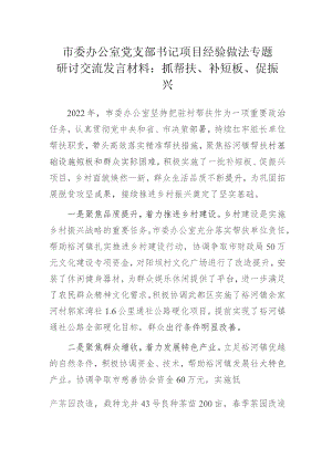 市委办公室党支部书记项目经验做法专题研讨交流发言材料：抓帮扶、补短板、促振兴.docx