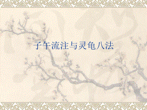 子午流注与灵龟八法(自制ppt).ppt