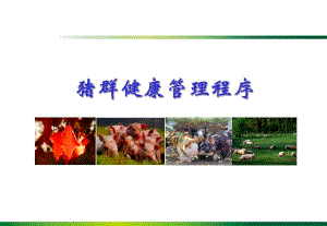 猪群保健程序.ppt