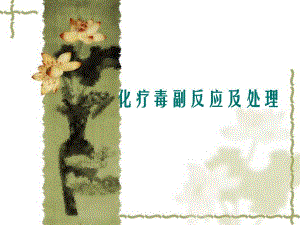 化疗毒副反应及处理.ppt
