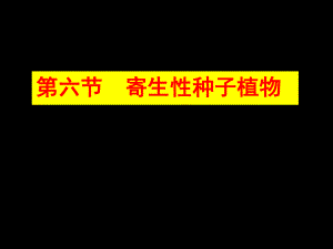 园林植物病理学第三章寄生性种子植物.ppt