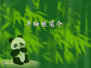 干细胞简介.ppt.ppt