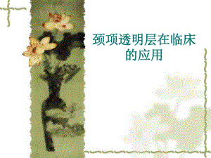颈项透明层在临床的应用.ppt