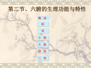 3.第三章藏象六腑.ppt