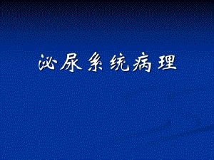 泌尿系统病理.ppt