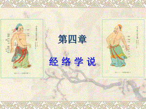 《中医基础理论》经络学说.ppt.ppt