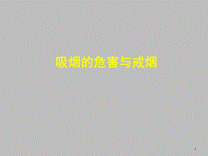 吸烟的危害与戒烟.ppt