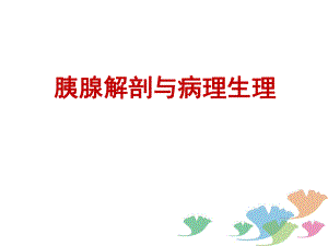 01胰腺解剖与病理生理.ppt