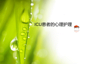 ICU患者的心理护理.ppt.ppt