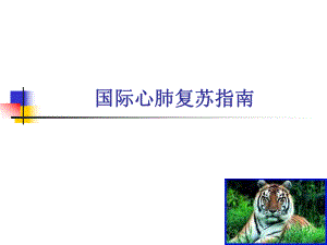 2005国际心肺复苏指.ppt