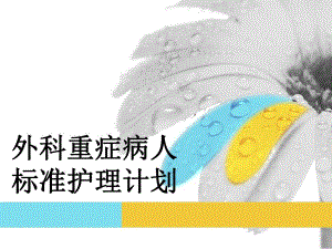 0325外科重症病人标准护理计划.ppt
