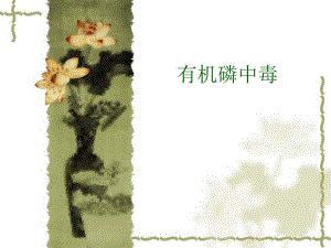 有机磷中毒.ppt