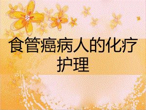 食管癌病人化疗护理.ppt