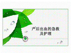 产后出血抢救和护理新.ppt.ppt