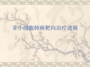 非小细胞肺癌靶向治疗进展.ppt