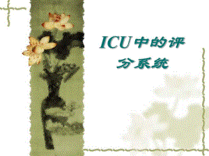ICU中的评分系统.ppt.ppt
