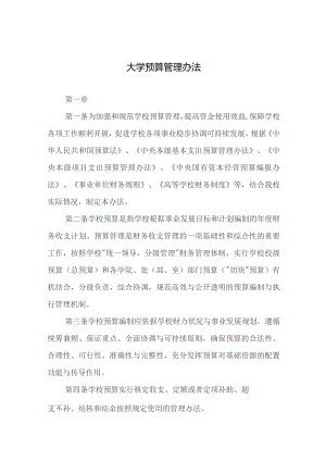 大学预算管理办法.docx